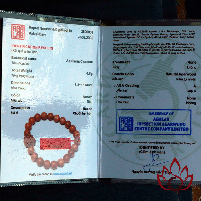 Vòng Trầm Hương Hạt Tròn | Charm Hoa Sen | 8 ly | Trầm Tốc Kiến Tự Nhiên Lâu Năm